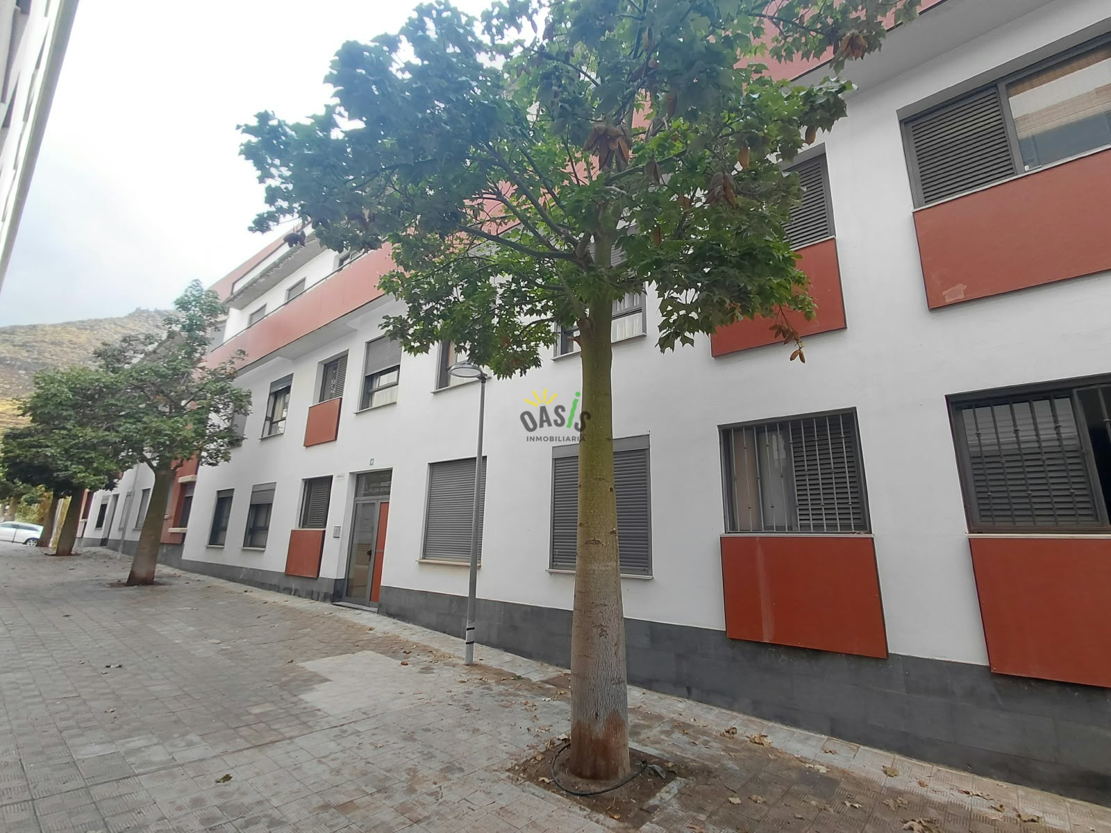 Principal